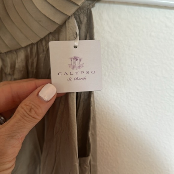 NWT Calypso St. Barth Silk Dress Taupe Medium - Picture 8 of 11